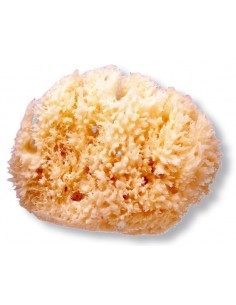 ESPONJA BAÑO INFANTIL...